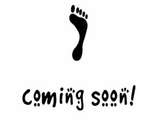 https://datecity.co/elpass?email=&sub=41007&type=0&tag=&affid=